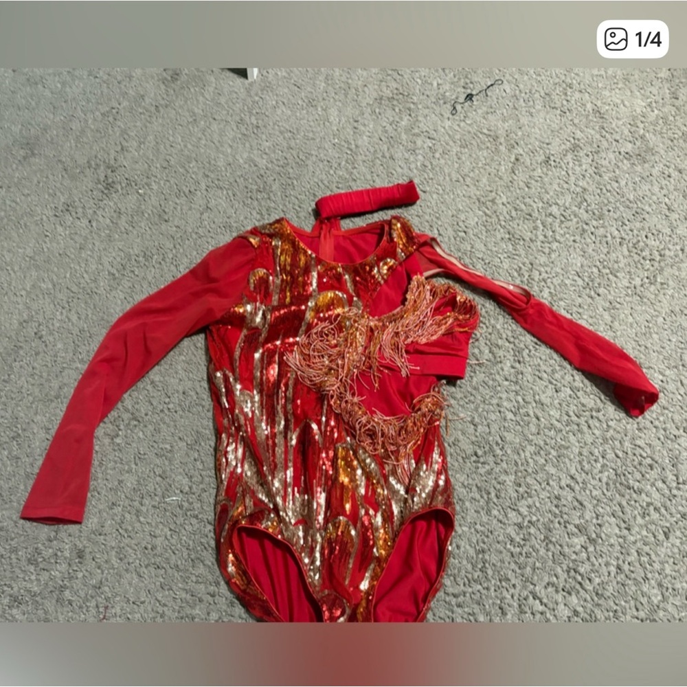 Sparkling Red and Gold  Costume